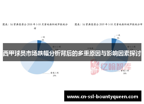 西甲球员市场跌幅分析背后的多重原因与影响因素探讨