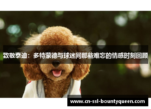 致敬泰迪：多特蒙德与球迷间那些难忘的情感时刻回顾